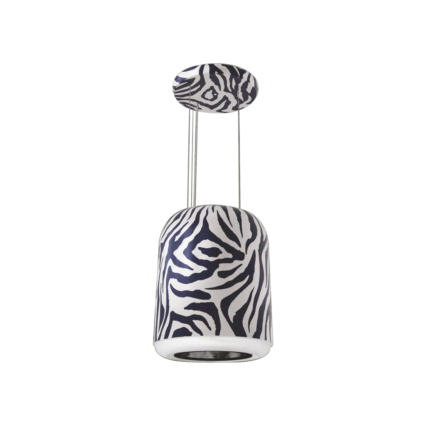 ZEBRA 41 (IS)