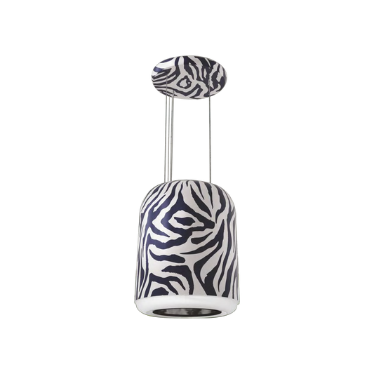 ZEBRA 41 (IS)